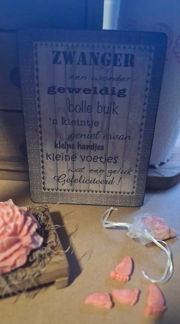 Tekst bordje zwanger