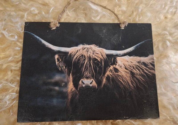 Houten wandbordjes verschillende farianten