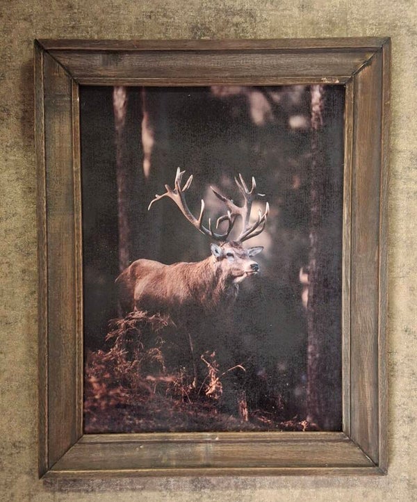 Gaaf schilderij met houten lijst