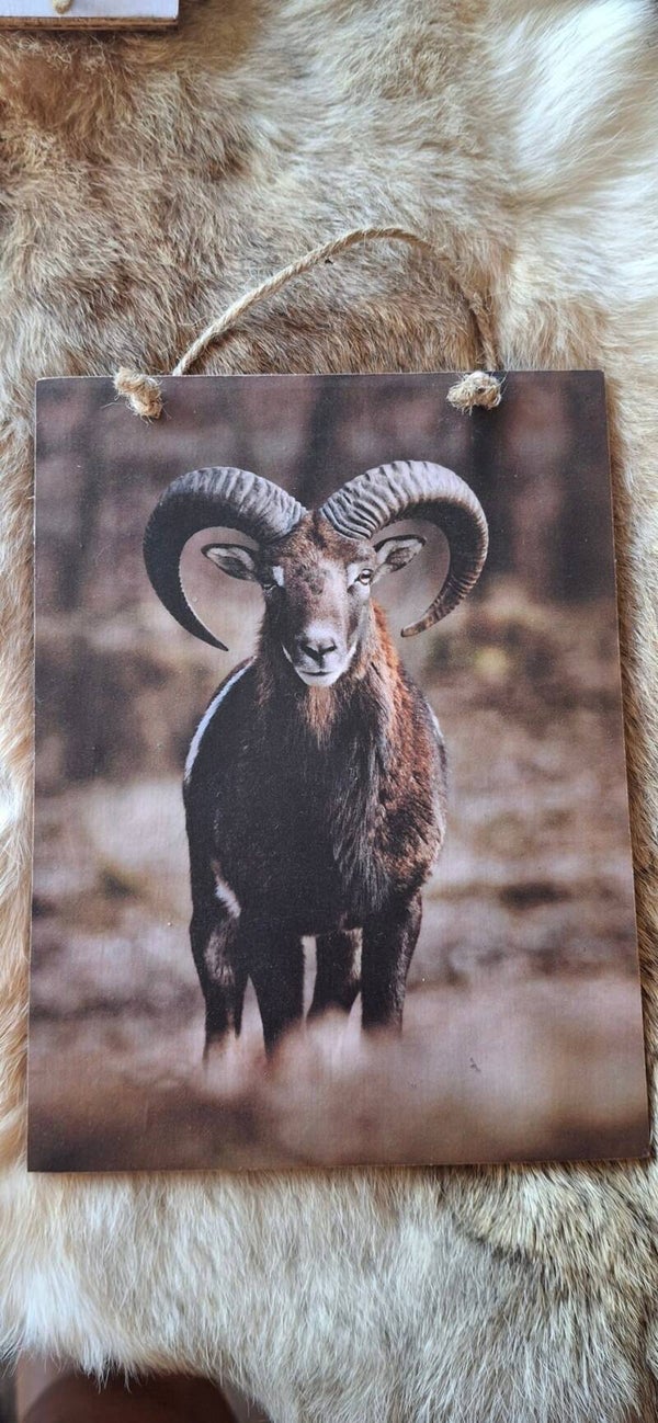 Houten kaart met touw