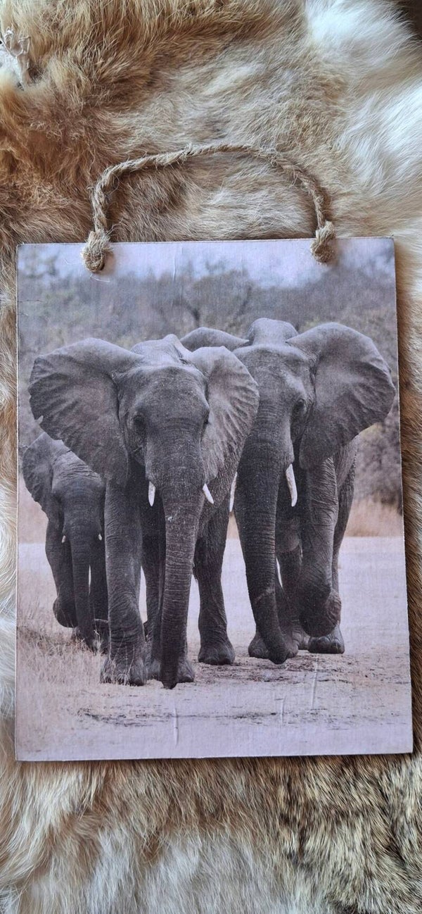 Houten kaart met touw