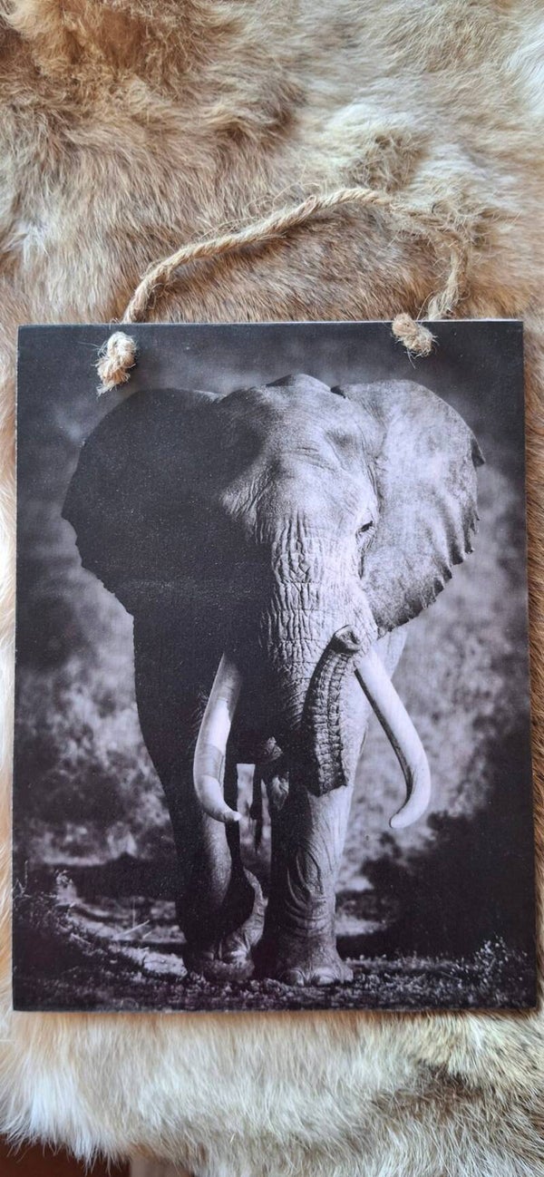 Houten kaart met touw