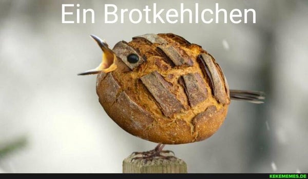 Brotkehlchen