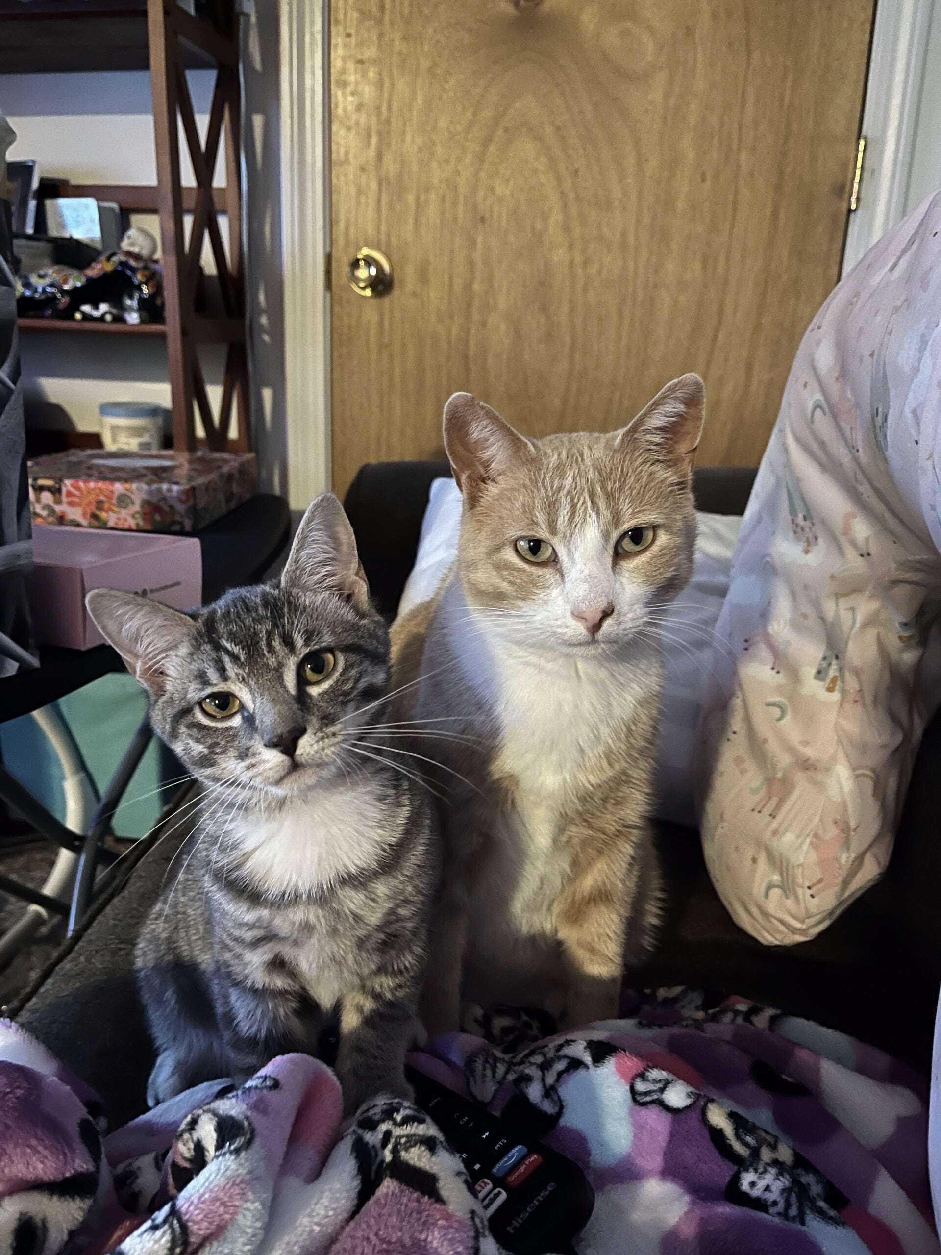 Mew mew and Bubbas