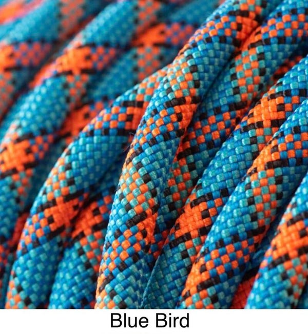 Verstellbare Tau-Leder Hundeleine -  Blue Bird