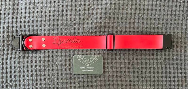 Personalisiertes Biothane Hundehalsband - Verschiedene Farben & Größen