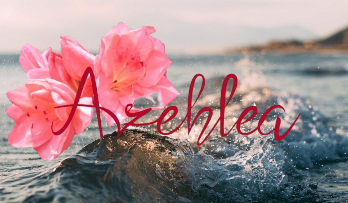 (c) Azehleacadeaus.nl