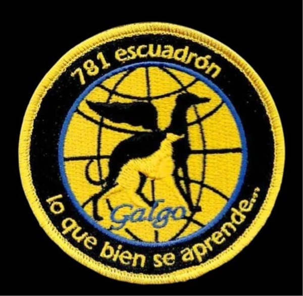 PARCHE ESCUADRON 781