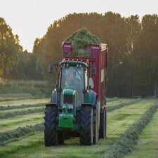 p1010975-standard-fkqtbc.jpg
