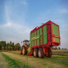 p1020067-standard-dstgrq.jpg