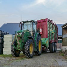 p1020078-standard-ujqk9p.jpg