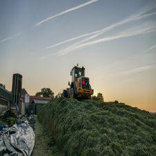 p1020081-standard-o850bh.jpg