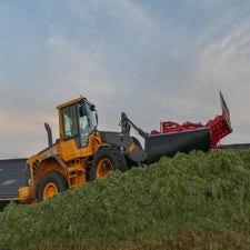 p1020147-standard-vxnv8l.jpg