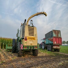 p1050789-standard.jpg