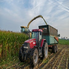 p1050819-standard.jpg