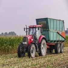 p1050835-standard.jpg