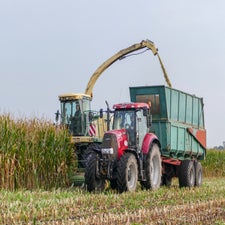p1050836-standard.jpg