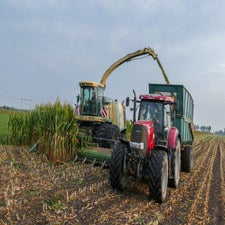 p1050842-standard.jpg