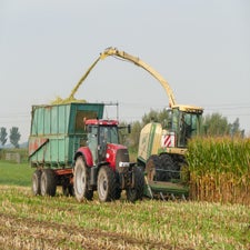 p1050864-standard.jpg