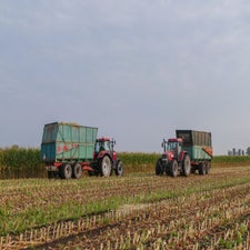 p1050879-standard.jpg