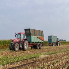 p1050883-standard.jpg