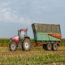 p1050885-standard.jpg