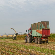 p1050892-standard.jpg