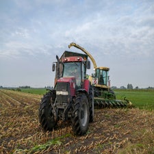 p1050907-standard.jpg