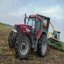 p1050911-standard.jpg