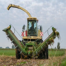 p1050915-standard.jpg
