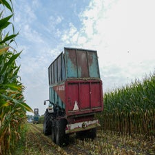 p1050933-standard.jpg