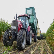 p1050949-standard.jpg