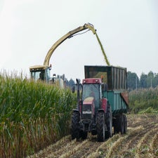 p1050981-standard.jpg