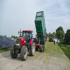 p1050988-standard.jpg
