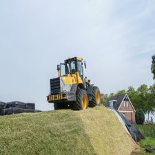 p1050991-standard.jpg