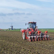 p1080931-standard.jpg