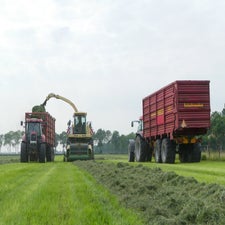 p1130469-standard.jpg