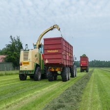 p1130490-standard.jpg