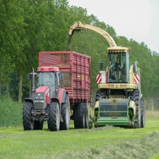 p1130496-standard-kw356a.jpg