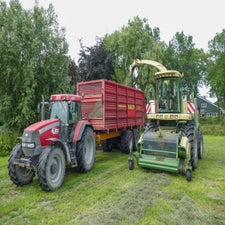 p1130503-standard.jpg