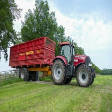 p1130518-standard.jpg