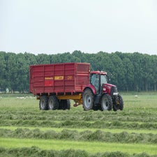 p1130524-standard.jpg