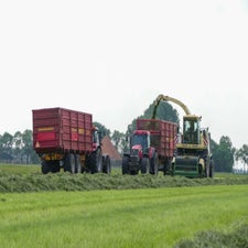 p1130528-standard.jpg