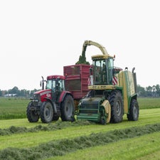p1130537-standard.jpg