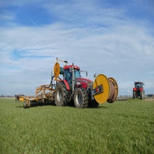 p1140374-standard.jpg