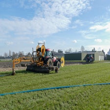 p1140397-standard.jpg