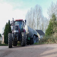 p1140462-standard.jpg