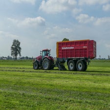 p1150036-standard.jpg