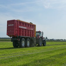 p1150082-standard.jpg
