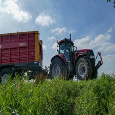 p1150107-standard.jpg